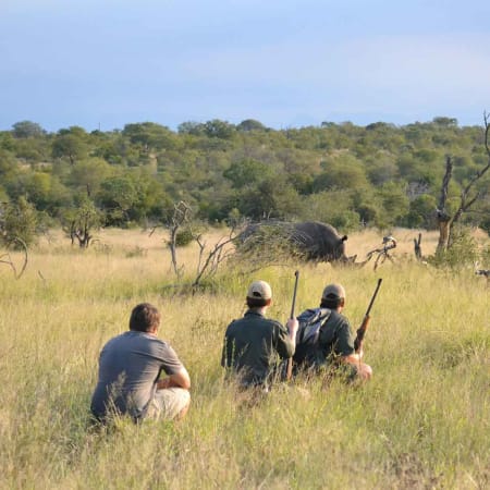 5-Day Greater Kruger Walking Safari with Night Drives