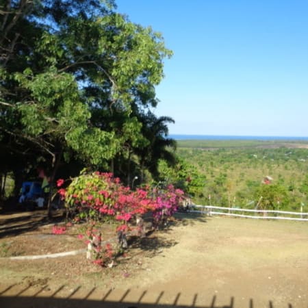 4-Hour Puerto Princesa City Tour with Crocodile Farm and Bakers Hill