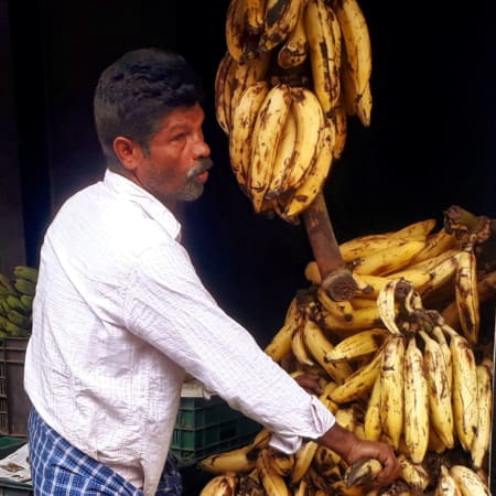 Full-Day Wayanad Countryside Tour with Kerala Lunch and Bamboo Visit