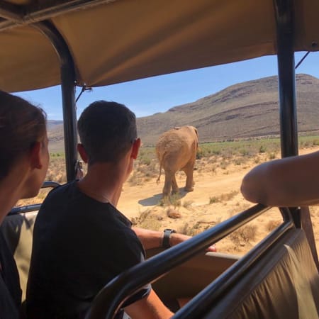 12-Hour Aquila Private Game Reserve Safari with Breakfast and Lunch