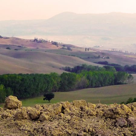 7-Hour Montalcino Wine Tour through Val d'Orcia and Pienza