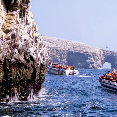 2-Hour Ballestas Islands Boat Tour from Paracas with Candelabro
