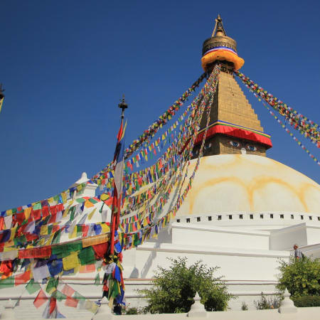 12-Day Nepal Cultural and Nature Tour with Everest Flight and Chitwan