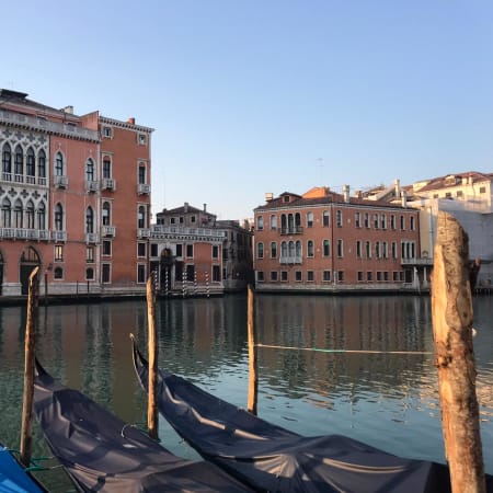 2-Hour Venice Walking Tour with St. Mark's Square and Rialto Bridge