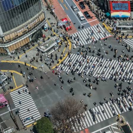 6-Hour Private Tokyo Tour with Yanaka, Shibuya and Cultural Activity