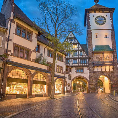 3-Hour Freiburg im Breisgau Private Walking Tour with a Local