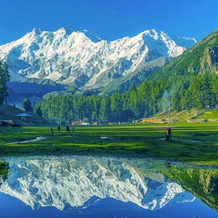 20-Day Pakistan Cultural and Nature Tour with Fairy Meadows and Hunza