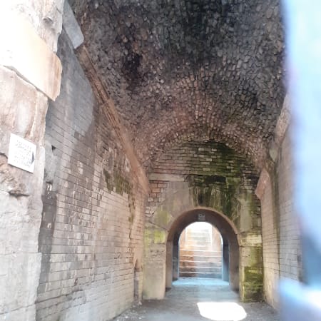 2-Hour Arles Walking Tour with Roman Monuments and Van Gogh Sites