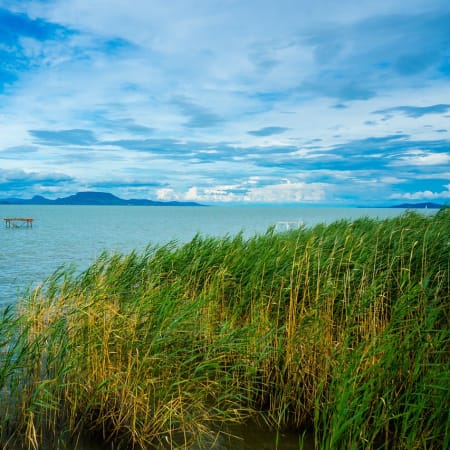 8-Hour Herend and Lake Balaton Tour with Tihany and Balatonfüred