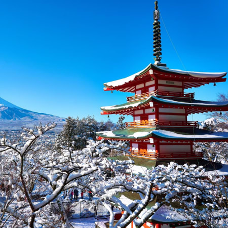 1-Day Mount Fuji Private Tour from Tokyo with Customizable Stops