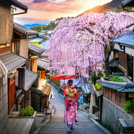 2-Hour Private Gion Walking Tour in Kyoto with Higashiyama Views