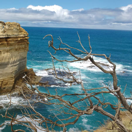 1-Day Great Ocean Road Tour with Memorial Arch and Twelve Apostles