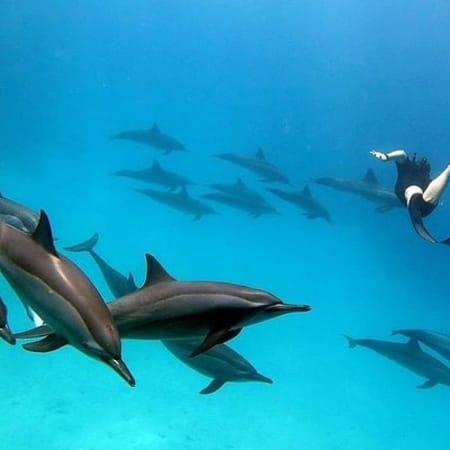 16-Hour Ain El Sokhna Red Sea Tour from Cairo with Snorkelling