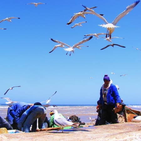 2-Day Casablanca to Essaouira Tour via El Jadida's Historic Sights