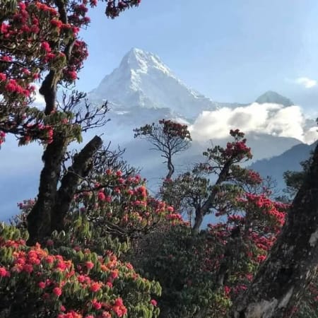 10-Day Annapurna Base Camp Heli Trek with Poon Hill Sunrise