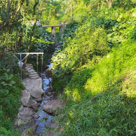 8-Hour Chongqing Cultural and Nature Tour with Hidden Lake and Temple