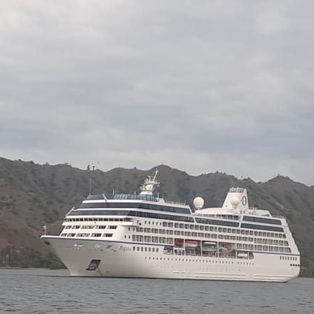 5-Hour Komodo Island Trek and Cruise with Pink Beach Snorkelling
