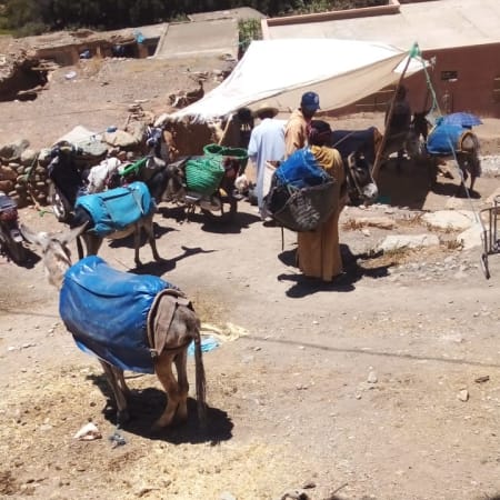 1-Day Ouzoud Waterfalls Tour from Marrakech with Imin Ifri Cave