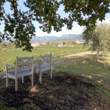 1-Day Prosecco Hills Wine Tour from Venice with 2 Cellar Tastings