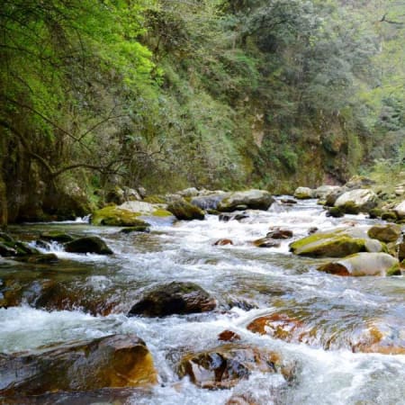 3-Day Grahan Trekking Tour in Parvati Valley with Village Experience