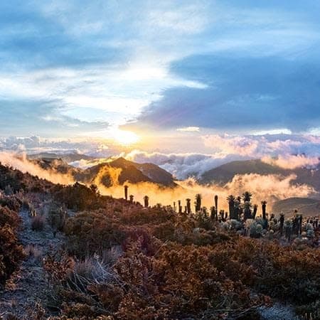 12-Day Colombia Coffee Axis Tour with Bogotá and Los Nevados