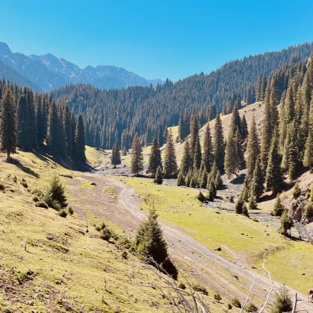 10-Day Northern Xinjiang Scenic Adventure Tour with Kanas and Nalati