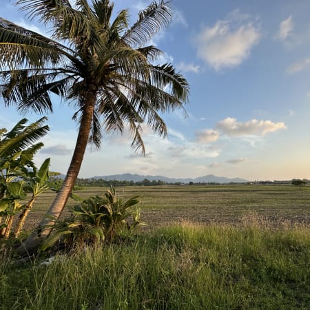 90-Minute Balik Pulau Buggy Ride through Paddy Fields to Malindo Beach