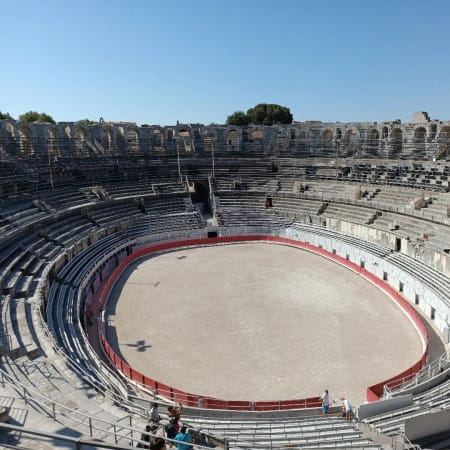8-Hour Arles and Camargue Tour with Van Gogh and Flamingos