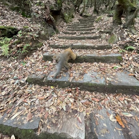 1-Day Budhanilkantha and Shivapuri Hike from Kathmandu with Nagi Gompa