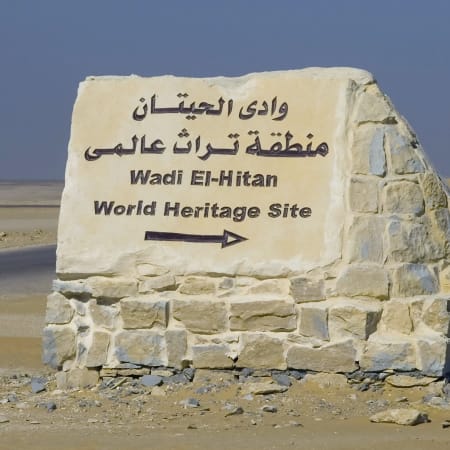 15-Hour Wadi Al Hitan Tour from Cairo with Whale Fossils Museum