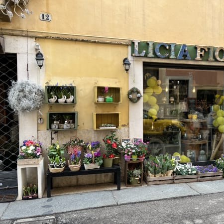 2-Hour Verona Walking Tour with Arena Entry and Juliet Landmarks
