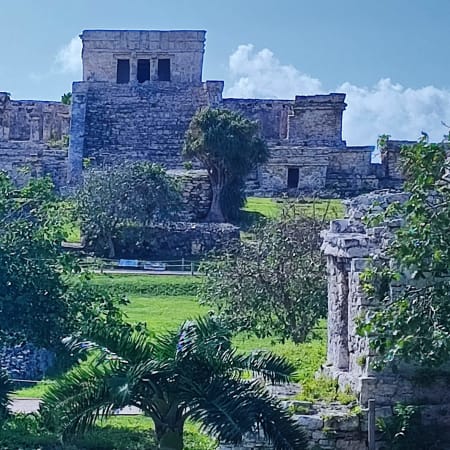 7-Hour Private Tulum Ruins and Cenote Tour with Turtle Snorkeling