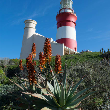 12-Day South Africa Safari and Garden Route Tour with Cape Winelands