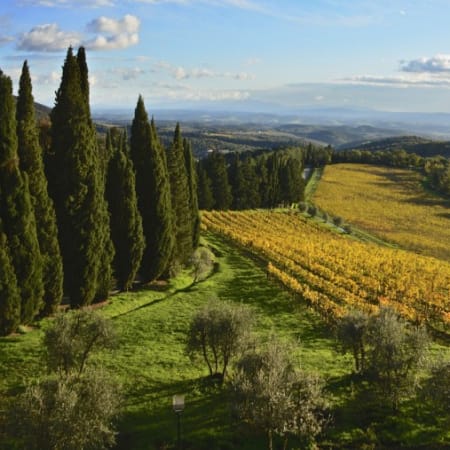 8-Hour Chianti and San Gimignano Wine Tour with Two Tastings