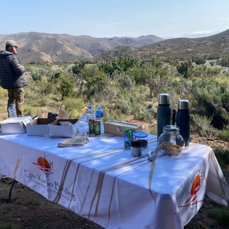 6-Hour Klein Karoo Birding Tour from Oudtshoorn with Picnic Breakfast