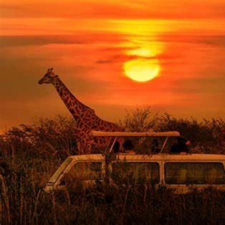 9-Day Cape Town and Kruger Safari with Blyde River Canyon