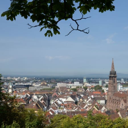 2-Hour Freiburg im Breisgau Private Walking Tour with a Local