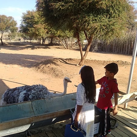 7-Hour Oudtshoorn Tour from George with Cango Caves and Ostrich Farm