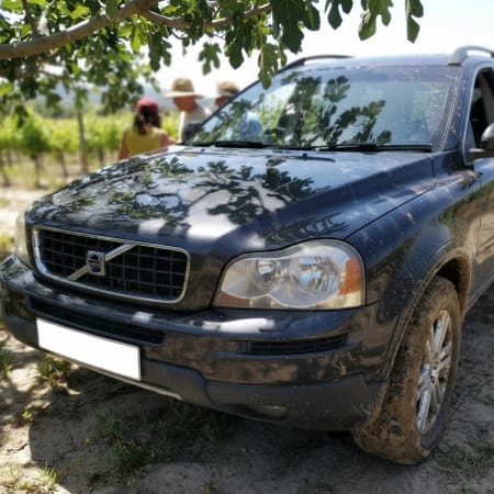 4-Hour 4x4 Nature Tour in Serras de Aire with Dinosaur Footprints