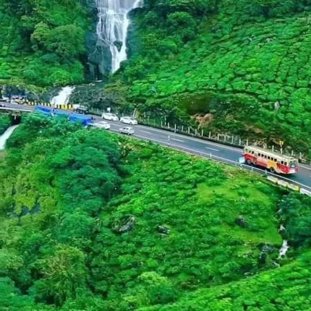 7-Day Kerala Tour through Munnar Thekkady Vagamon and Kumarakom