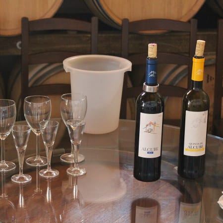 6-Hour Private Setúbal Wine Tasting Tour from Lisbon with Arrábida