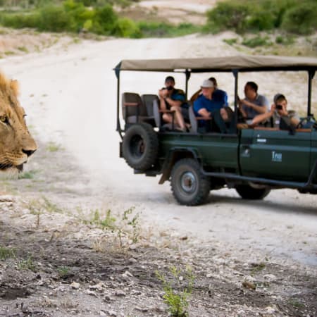 2-Day Madikwe Game Reserve Safari with Big Five Wildlife