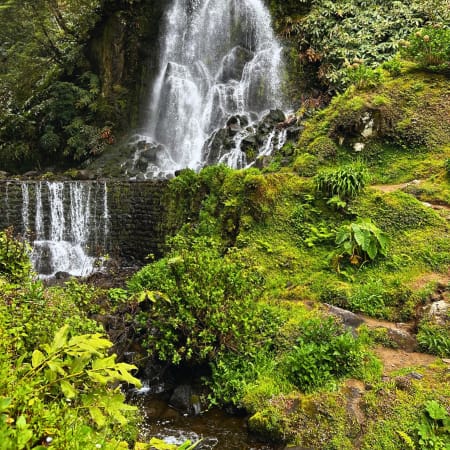 7-Hour São Miguel North Tour with Lagoa do Fogo and Tea Estates