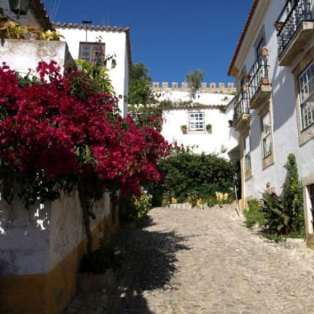 1-Day Private Tour from Lisbon to Óbidos, Nazaré, Batalha and Fátima