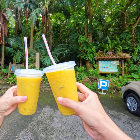 4-Hour Private Ishigaki Island Tour with Customizable Highlights