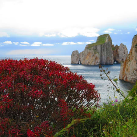 8-Hour Porto Flavia and Nebida Tour from Cagliari with S'Ortu Mannu