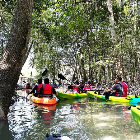 4-Hour Mangrove Kayaking Tour in Pulau Betong with Crab Trapping
