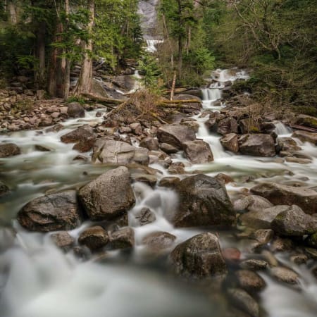 10-Hour Whistler and Shannon Falls Tour with First Nations Heritage