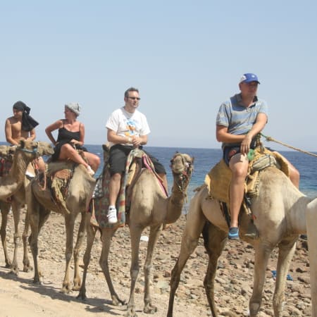 12-Hour Sinai Desert Jeep Safari from Sharm el-Sheikh with Nawamis