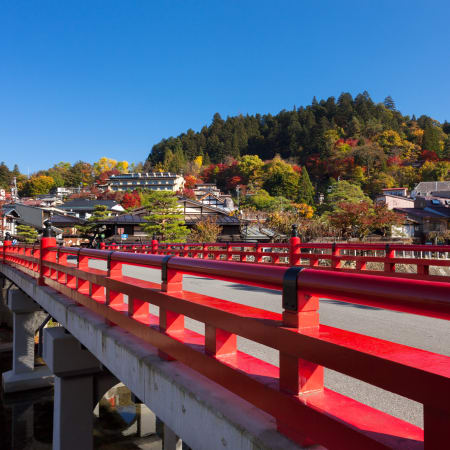 1-Hour Takayama Old Town Walking Tour with Morning Market Option